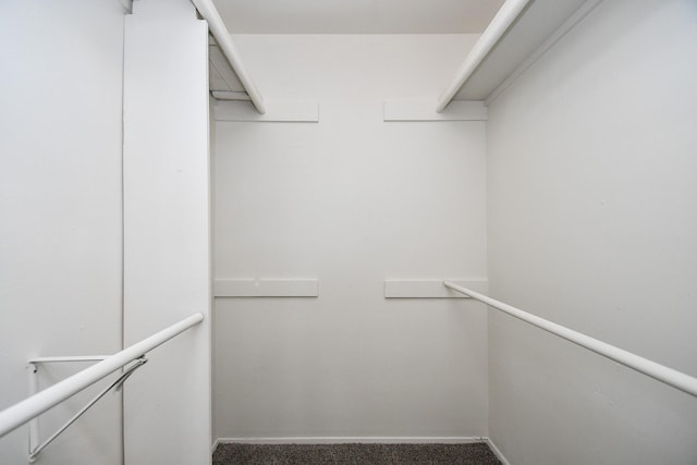 19918 Burle Oak Dr, Humble, TX 77346 - walk in closet with carpet flooring