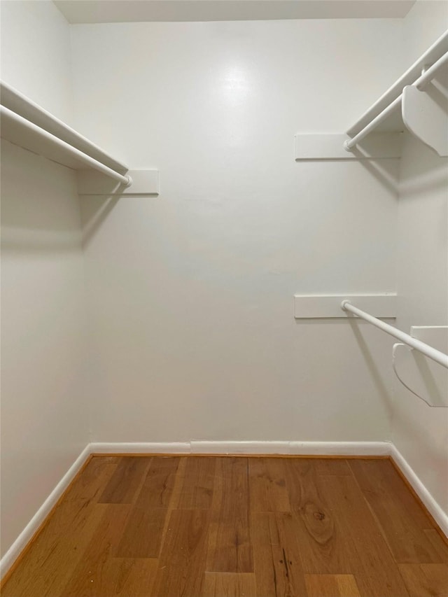 spacious closet featuring wood finished floors