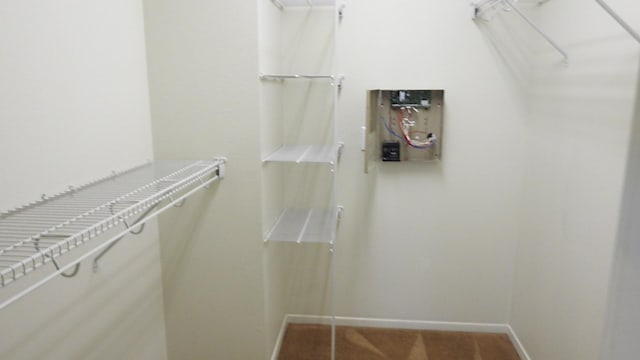 spacious closet with carpet flooring