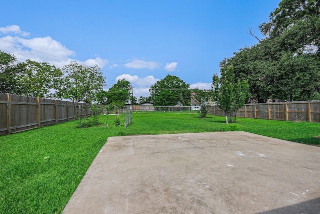 view of yard featuring a patio and a fenced backyard