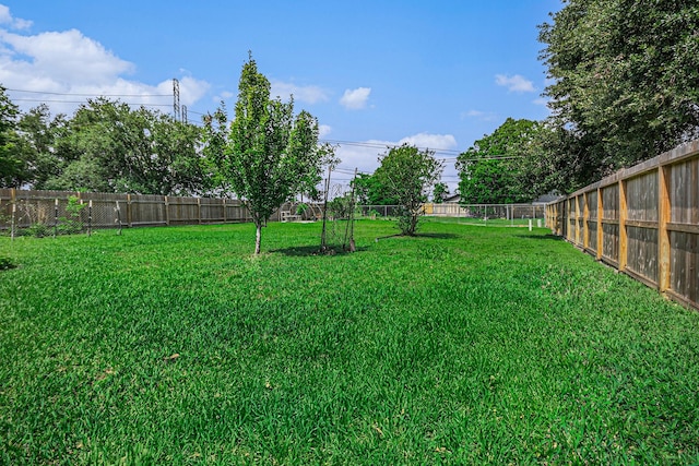 view of yard featuring a fenced backyard