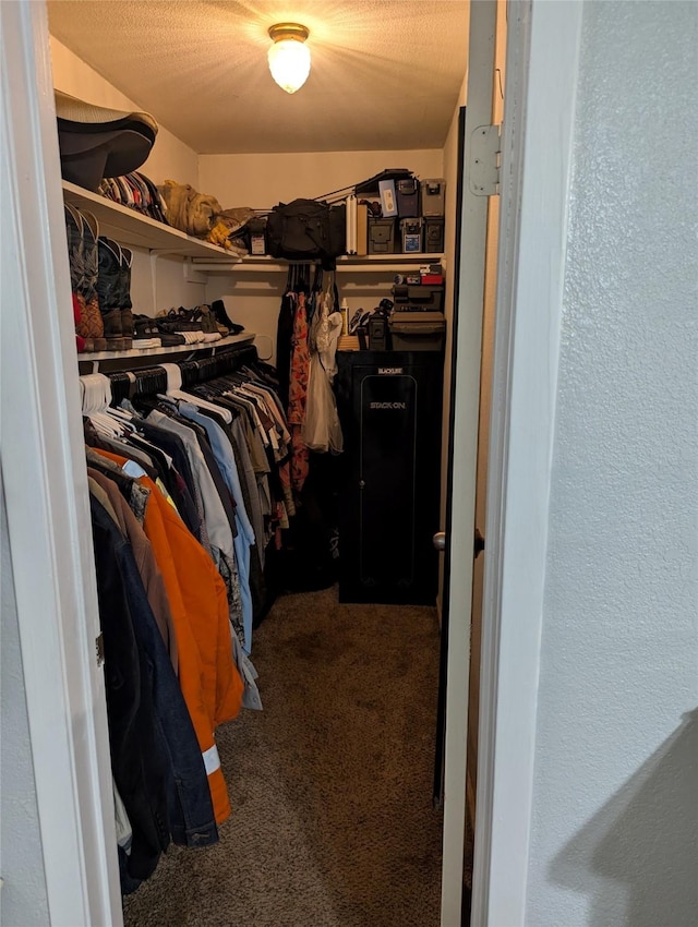 200 Commanche Rd, Conroe, TX 77316 - spacious closet featuring carpet flooring