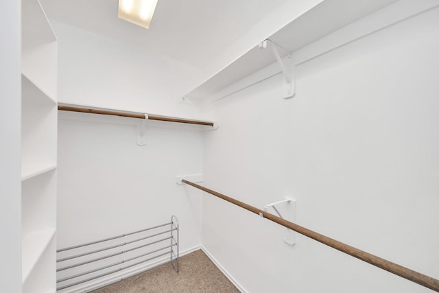 6 Whitekirk Pl, Magnolia, TX 77354 - spacious closet featuring carpet floors and radiator heating unit