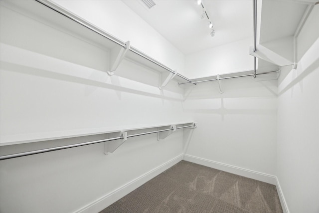 2323 W Main St Unit 603, Houston, TX 77098 - spacious closet with dark carpet