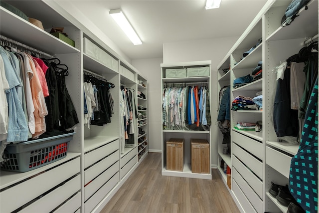 spacious closet featuring light wood finished floors