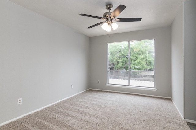 5005 Georgi Ln Unit 125, Houston, TX 77092 - photo 14