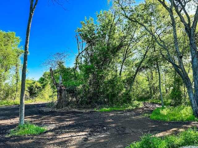 3137 Fm-1953, Mexia, TX 76667