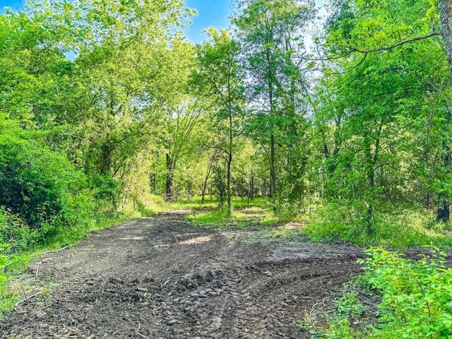 3137 Fm-1953, Mexia, TX 76667