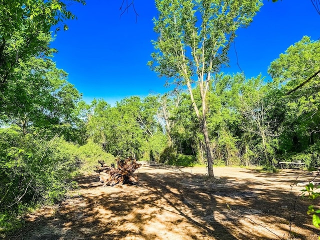 3137 Fm-1953, Mexia, TX 76667