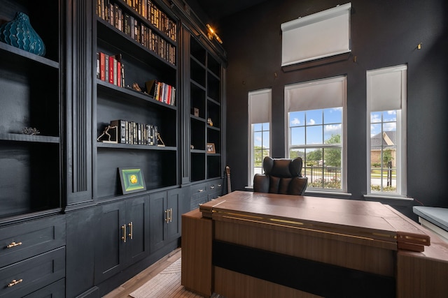 17583 Harpers Way, Conroe, TX 77385 - home office with light wood-style floors and built in features