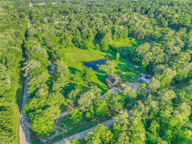 25 S Magnolia Ln, Shepherd, TX 77371 - aerial view featuring a forest view