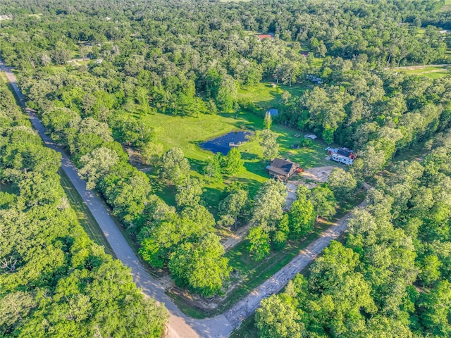 25 S Magnolia Ln, Shepherd, TX 77371 - bird's eye view with a view of trees