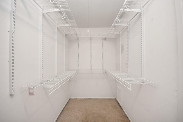 1409 N Park Ridge Dr, Deer Park, TX 77536 - spacious closet featuring light carpet
