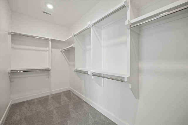 6804 Westview Dr Unit 1407, Houston, TX 77055 - walk in closet with carpet flooring and visible vents