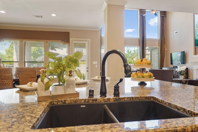 3203 Round Meadow Ln, Missouri City, TX 77459 - details featuring a sink, visible vents, ornamental molding, and stone countertops