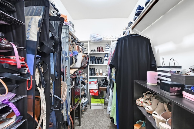 spacious closet with carpet