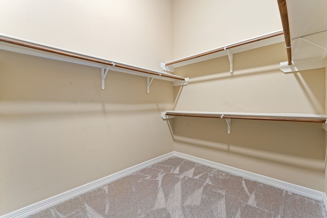 spacious closet featuring carpet flooring