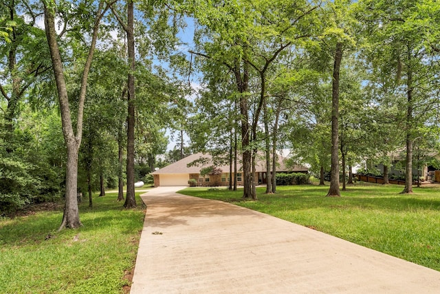 111 Venice Way, Huntsville, TX 77320 - photo 4