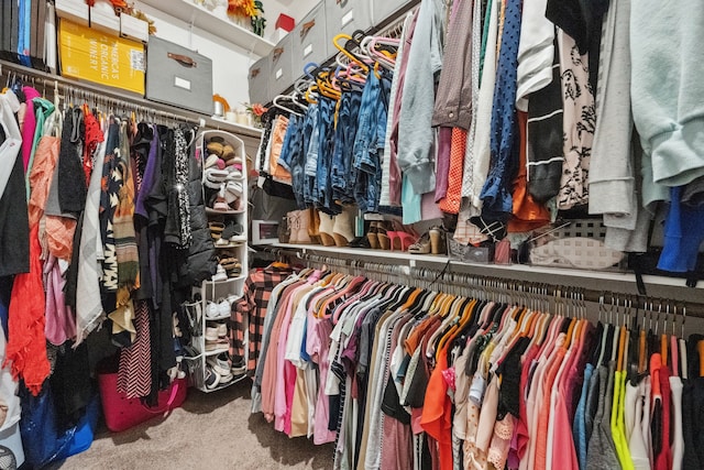 4290 Orchard Pass Dr, Spring, TX 77386 - view of walk in closet