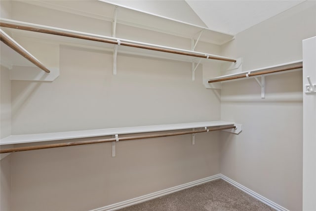walk in closet featuring carpet flooring