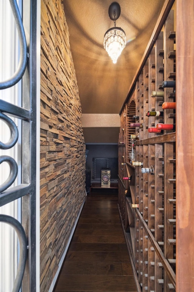 wine cellar featuring dark wood-style flooring