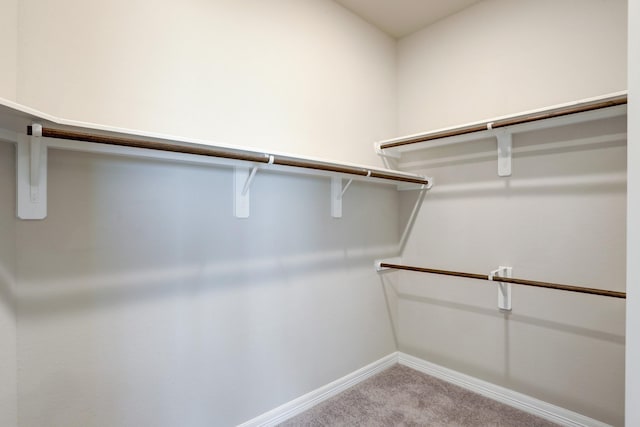1613 Mija Park Rd, Seabrook, TX 77586 - walk in closet featuring light colored carpet