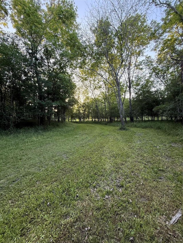 7442 Cobbs Oak Ln, Rosharon, TX 77583