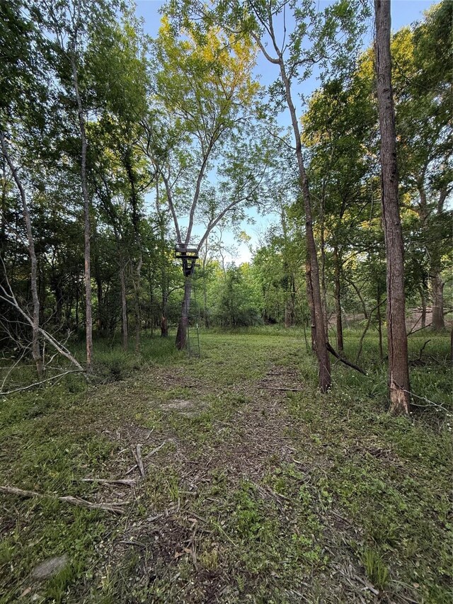 7442 Cobbs Oak Ln, Rosharon, TX 77583