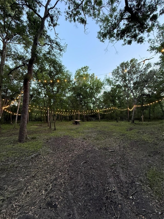 7442 Cobbs Oak Ln, Rosharon, TX 77583