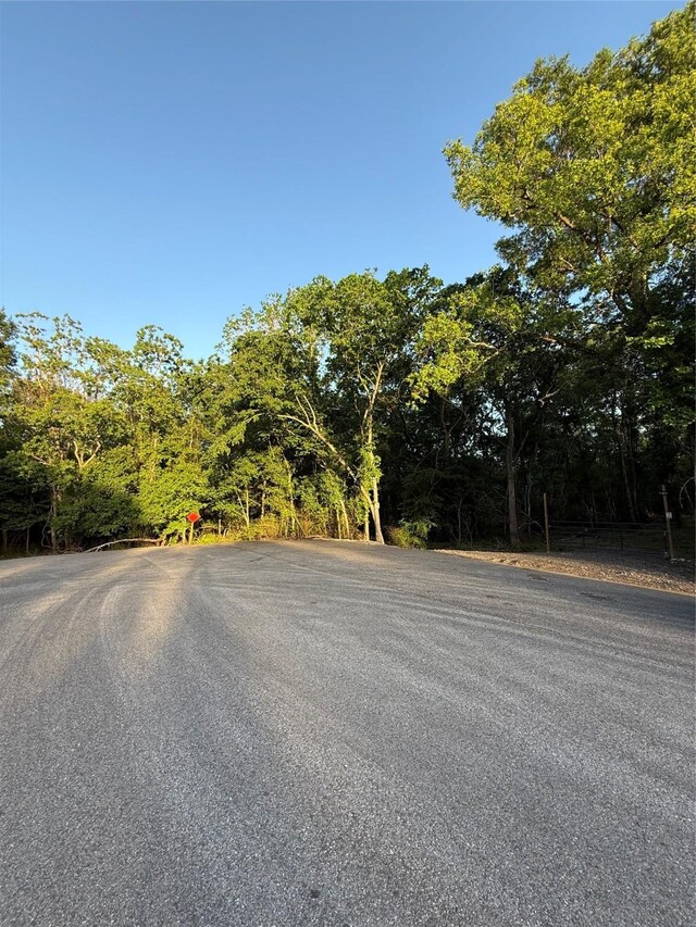 7442 Cobbs Oak Ln, Rosharon, TX 77583