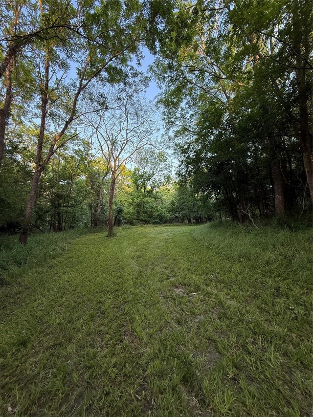 7442 Cobbs Oak Ln, Rosharon, TX 77583