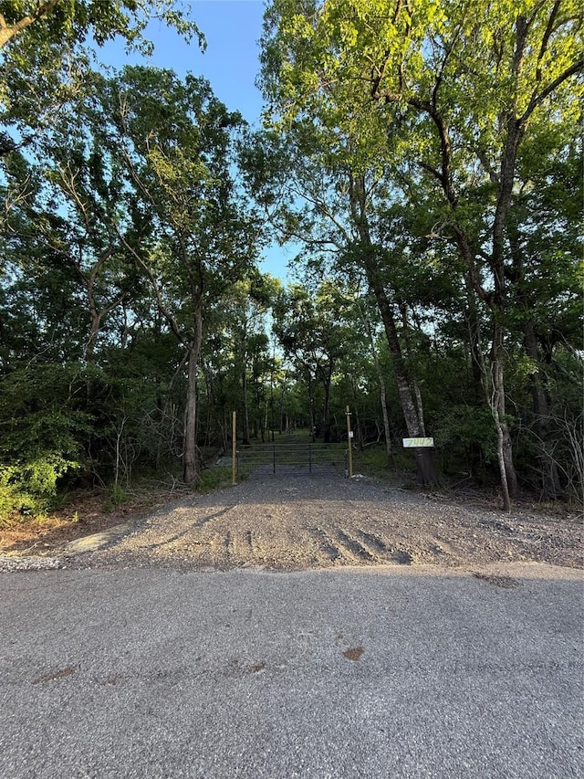 7442 Cobbs Oak Ln, Rosharon, TX 77583