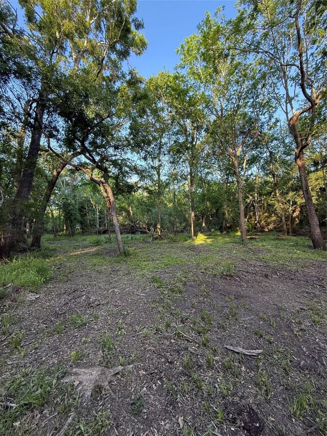 7442 Cobbs Oak Ln, Rosharon, TX 77583