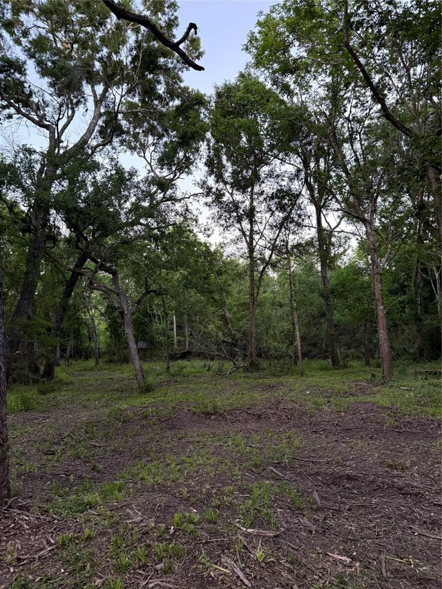 7442 Cobbs Oak Ln, Rosharon, TX 77583