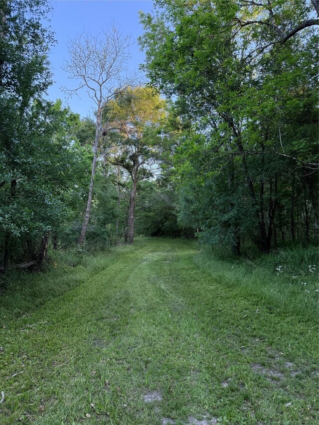 7442 Cobbs Oak Ln, Rosharon, TX 77583
