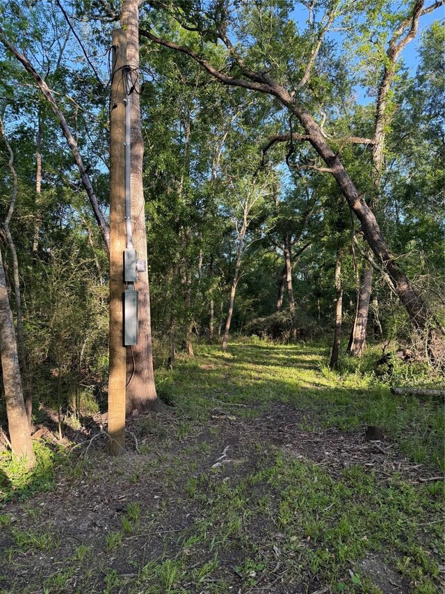 7442 Cobbs Oak Ln, Rosharon, TX 77583