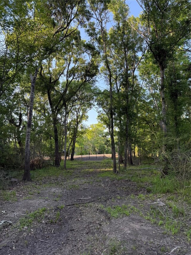 7442 Cobbs Oak Ln, Rosharon, TX 77583