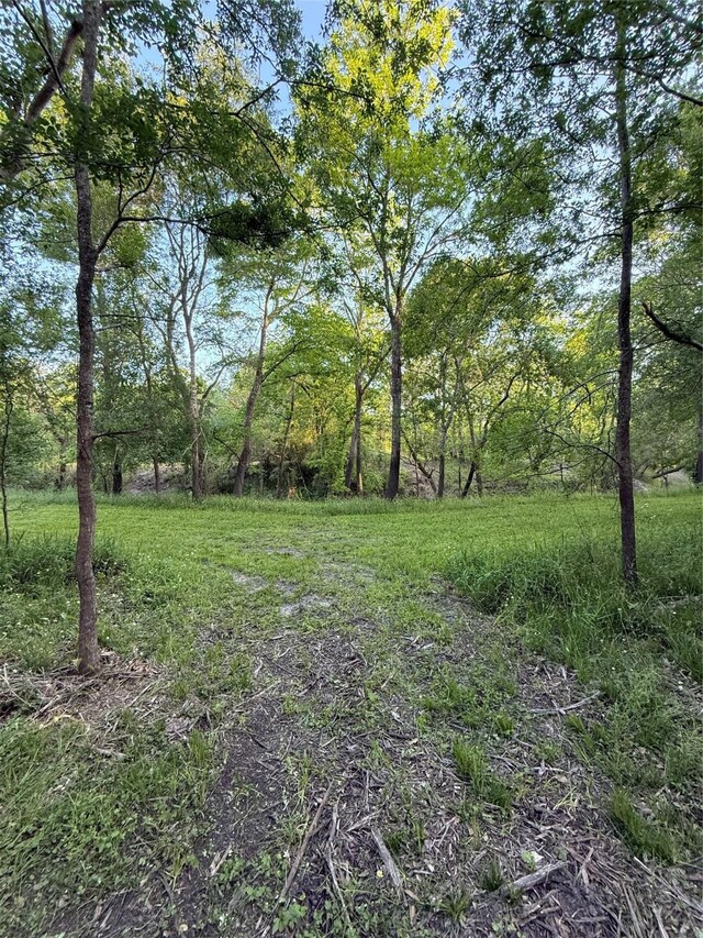 7442 Cobbs Oak Ln, Rosharon, TX 77583