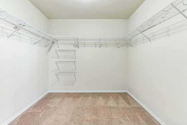 315 Prato Brezza, San Antonio, TX 78253 - spacious closet featuring carpet