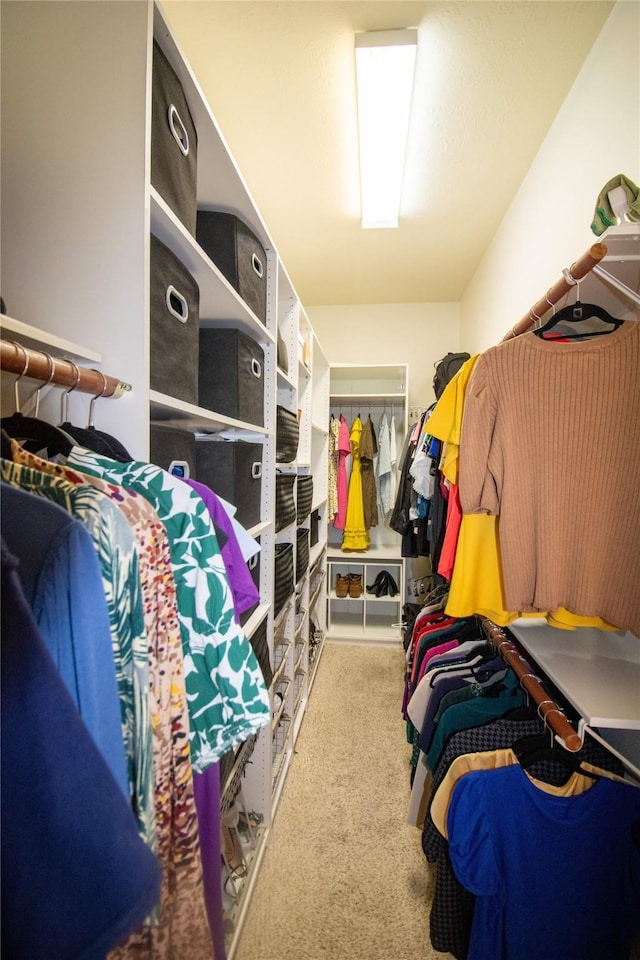 walk in closet with carpet flooring