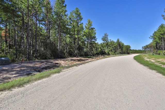 15409 Forest Grove Dr, Willis, TX 77378