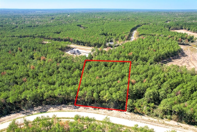 15409 Forest Grove Dr, Willis, TX 77378