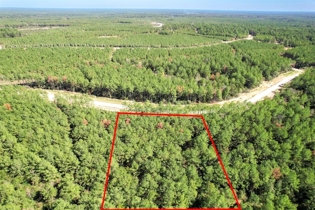 15409 Forest Grove Dr, Willis, TX 77378