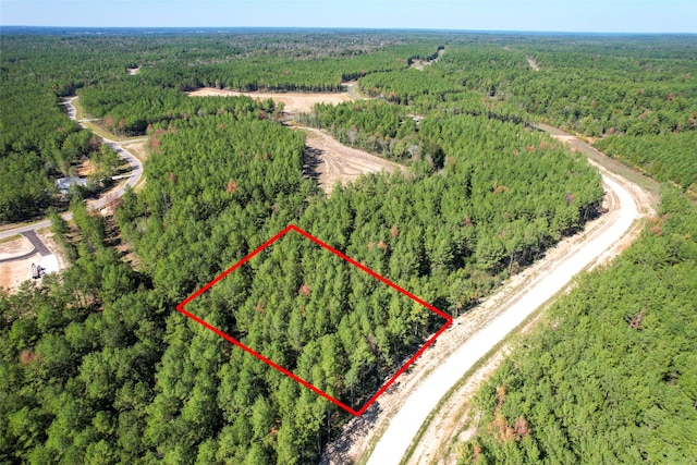 15409 Forest Grove Dr, Willis, TX 77378