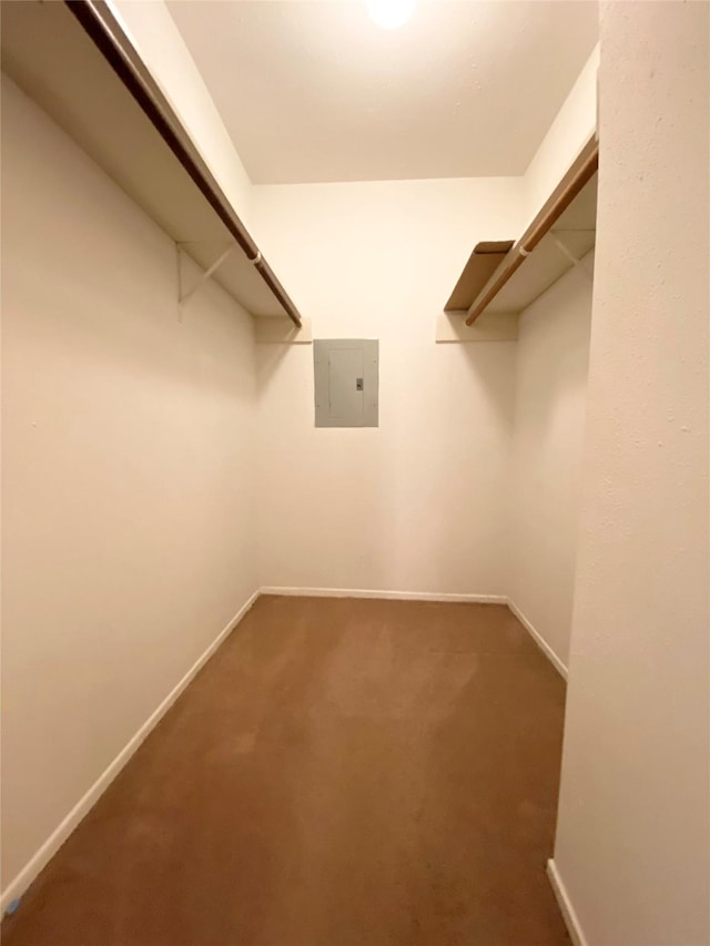 10555 Turtlewood Ct Unit 903, Houston, TX 77072 - spacious closet featuring carpet flooring and electric panel