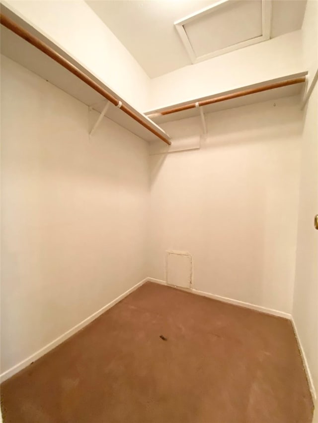 10555 Turtlewood Ct Unit 903, Houston, TX 77072 - spacious closet with attic access and carpet