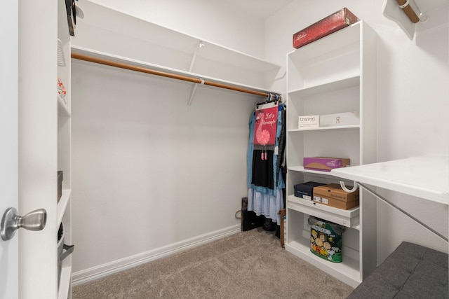 2906 Penninsula Pt, Montgomery, TX 77356 - spacious closet featuring carpet flooring