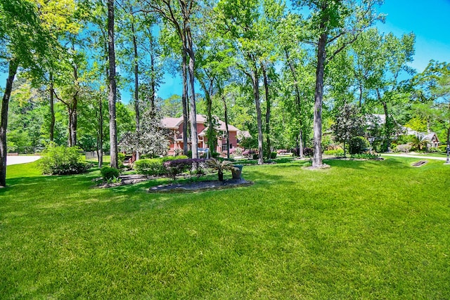 37703 Edgewater Dr, Pinehurst, TX 77362 - view of grassy yard