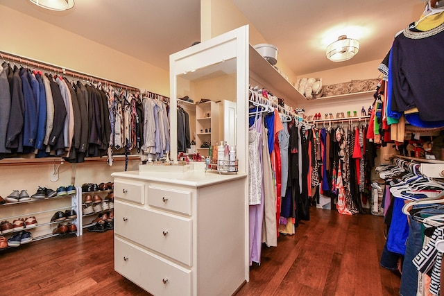 37703 Edgewater Dr, Pinehurst, TX 77362 - spacious closet with wood finished floors and a sink