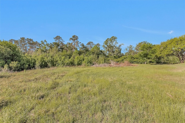 3000 Titleist Dr, Spring, TX 77373 - photo 24